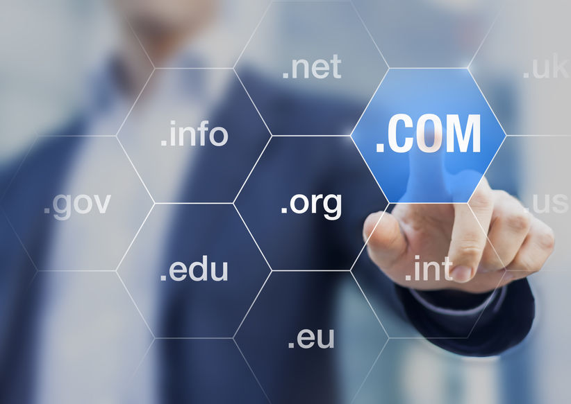Information about domain names
